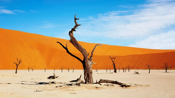 Afrika