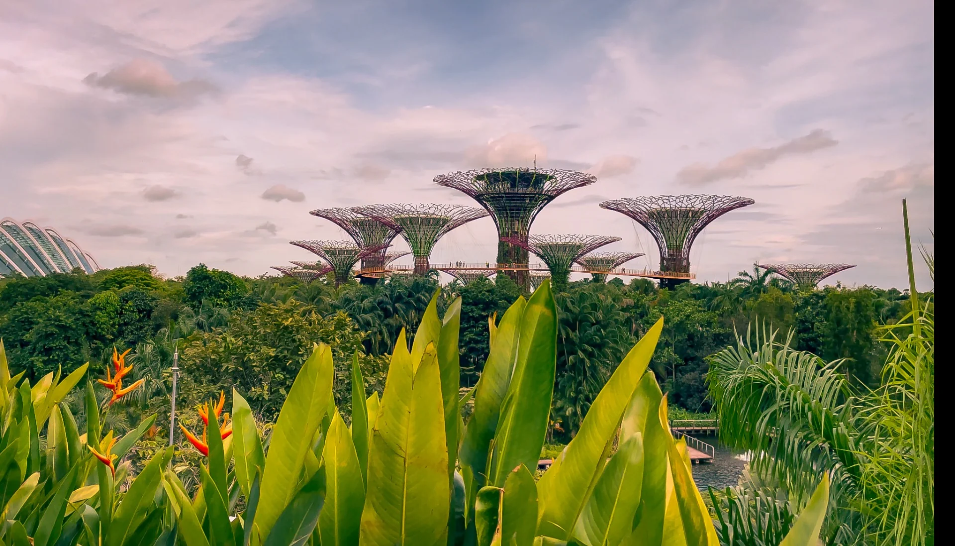Gardens by the Bay Supertrees